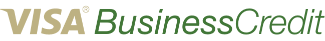Visa® Business Credit